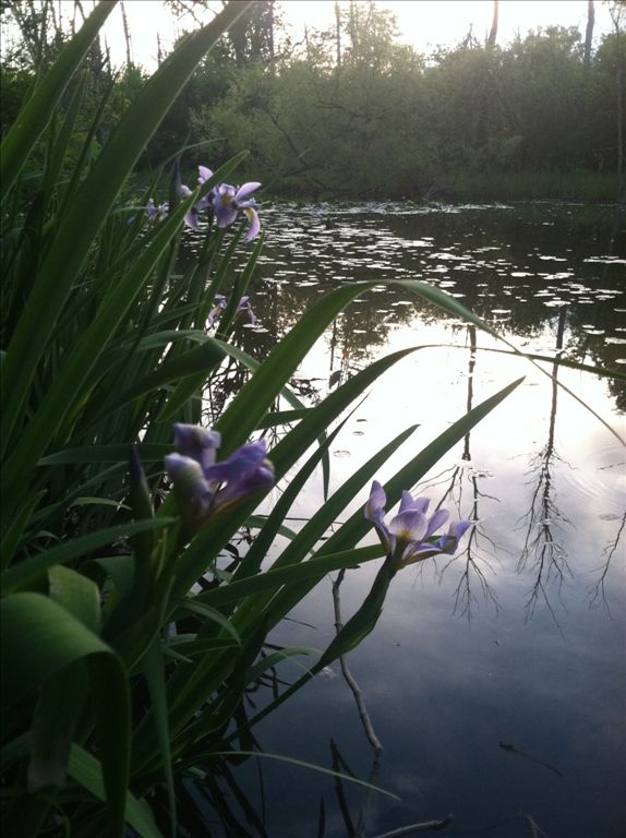 photo4.jpg