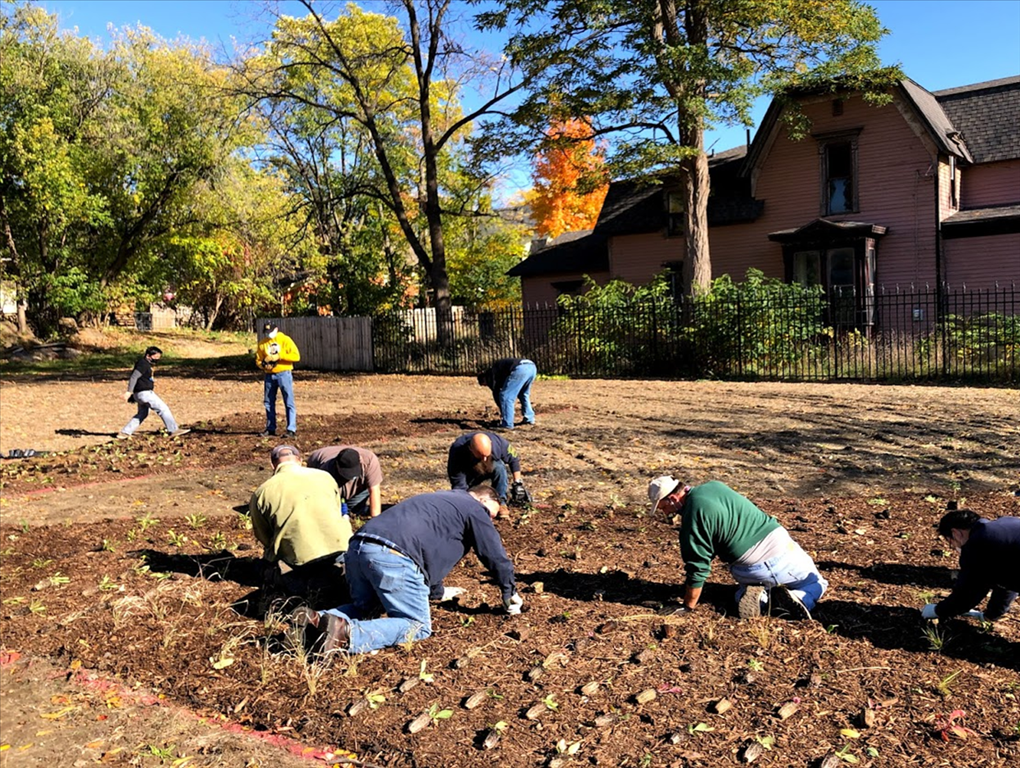 Activating Vacant Land